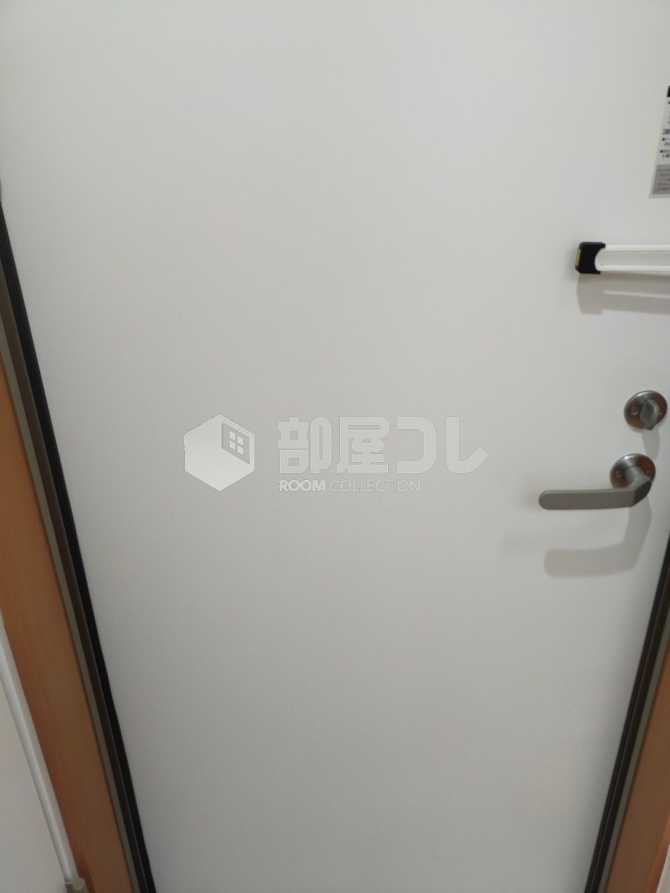 フェリスウィンディ