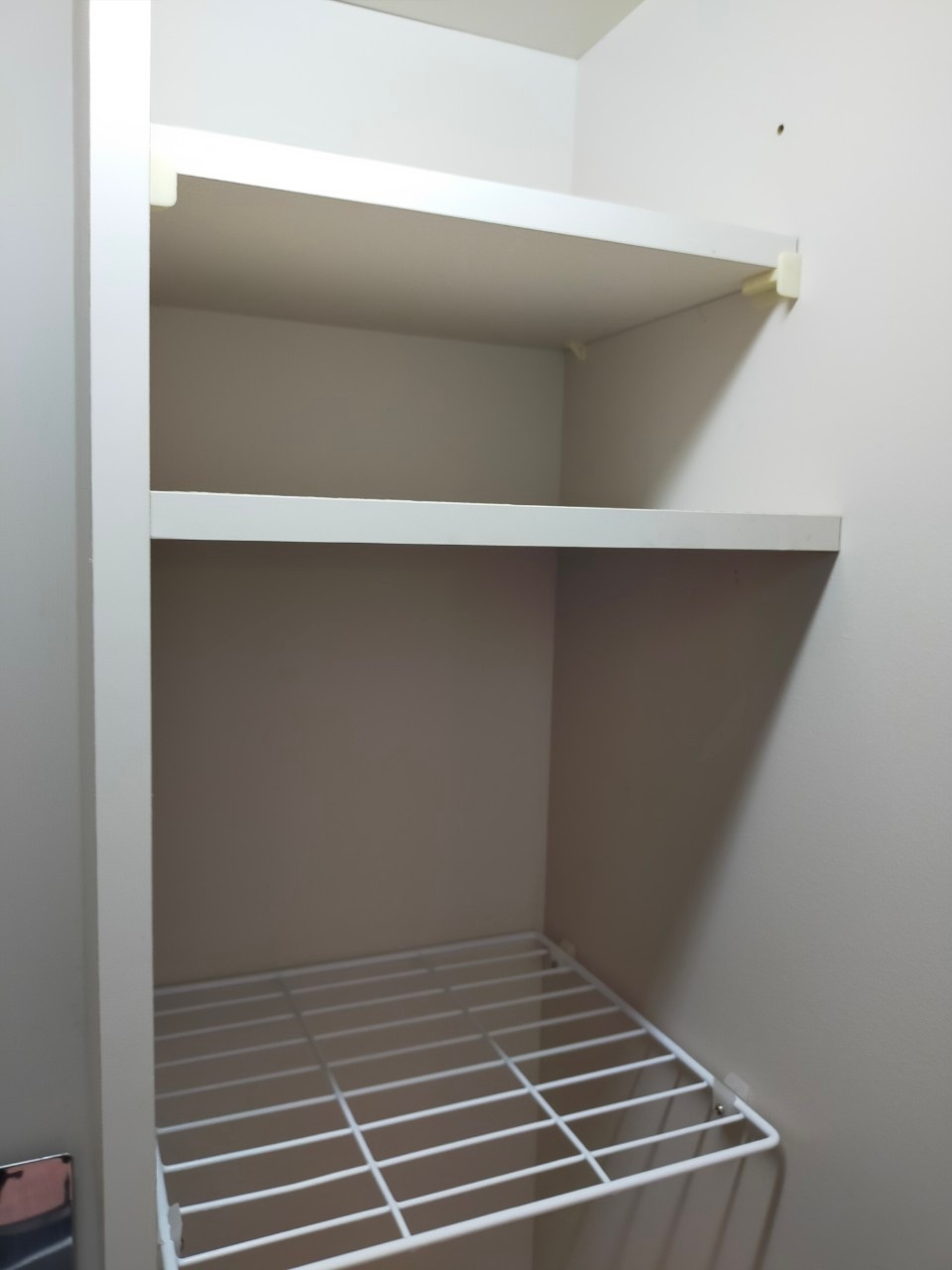 フェリスウィンディ