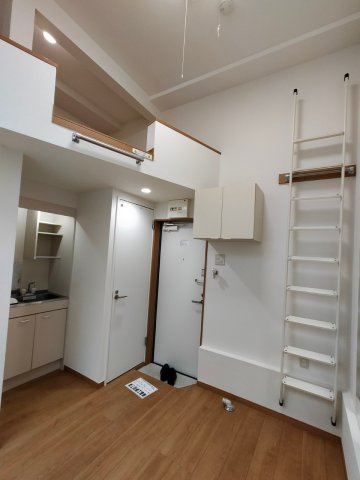 フェリスウィンディ