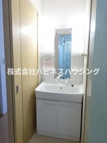 レイクタウン城山Ａの洗面所