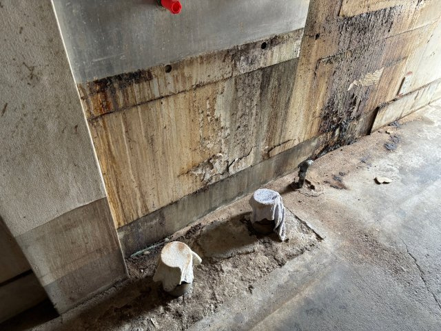 スインパスィー1の内装