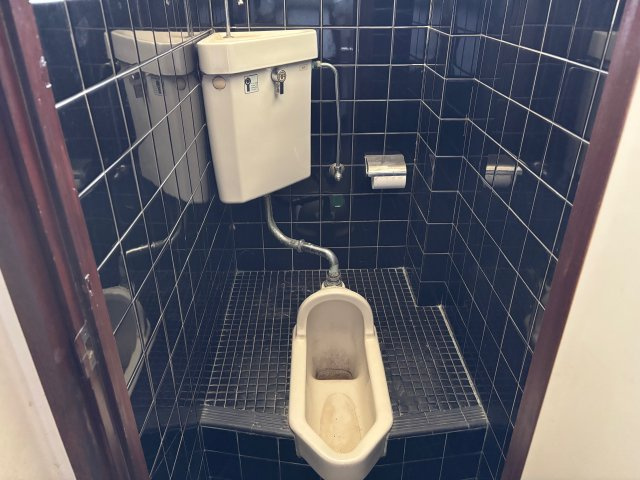 スインパスィー1のトイレ