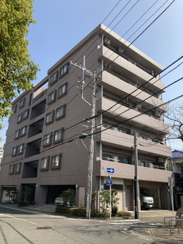 ラ・ビスタ　パークハウスの外観