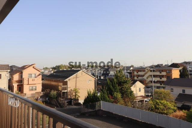 エクセル舞音の展望