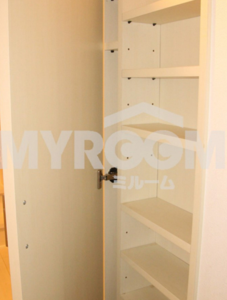 ＤＨＧ彩(ディーエイチジーアヤ)の収納|収納スペース