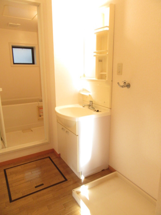 フレスコハウスの洗面所