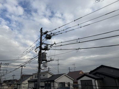 【展望】 | シュラインサイド下高井戸