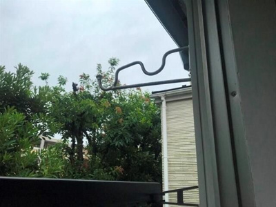 【バルコニー】 | クレメント千歳船橋