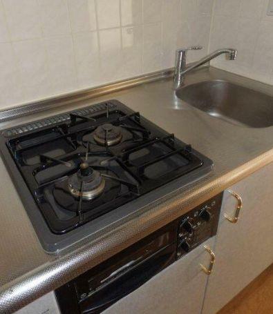 フェニックス北新宿エルミタージュのその他