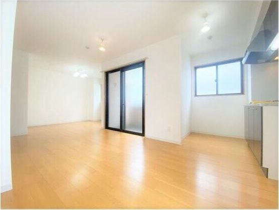 ヴィラペントハウス堺東のバルコニー