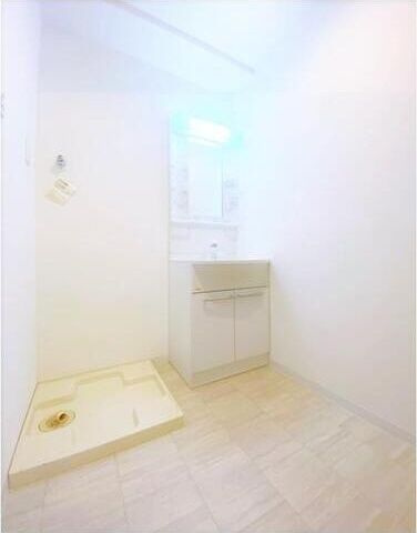 ヴィラペントハウス堺東の洗面所