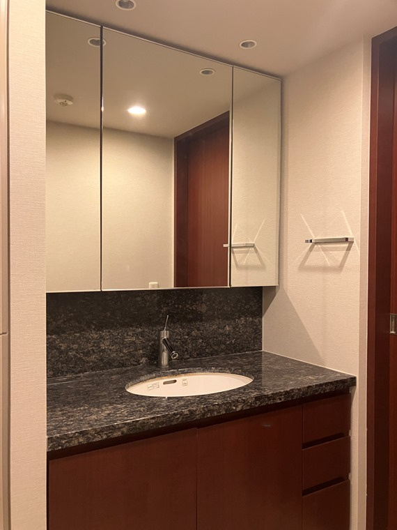 プラウド蘆花公園の洗面所|脱衣スペースもあります