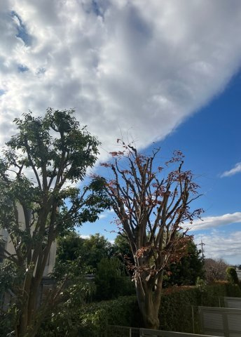 プラウド蘆花公園の展望