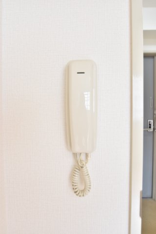 大阪市城東区野江２丁目の賃貸マンションのセキュリティ