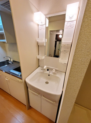 ドミール池袋立教通りの洗面所