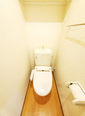 ドミール池袋立教通りのトイレ