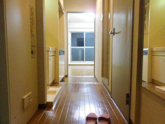 ドロメンスカセ三番館の玄関