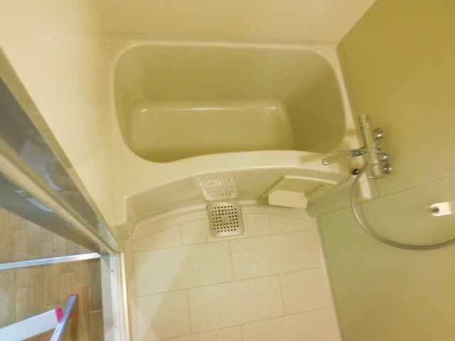 ドロメンスカセ三番館の浴室