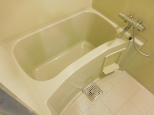 ドロメンスカセ三番館の浴室