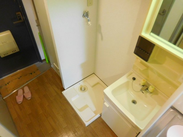 ドロメンスカセ三番館の洗面所