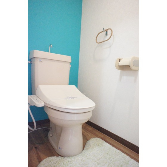 熊本市中央区国府本町の賃貸マンションのトイレ