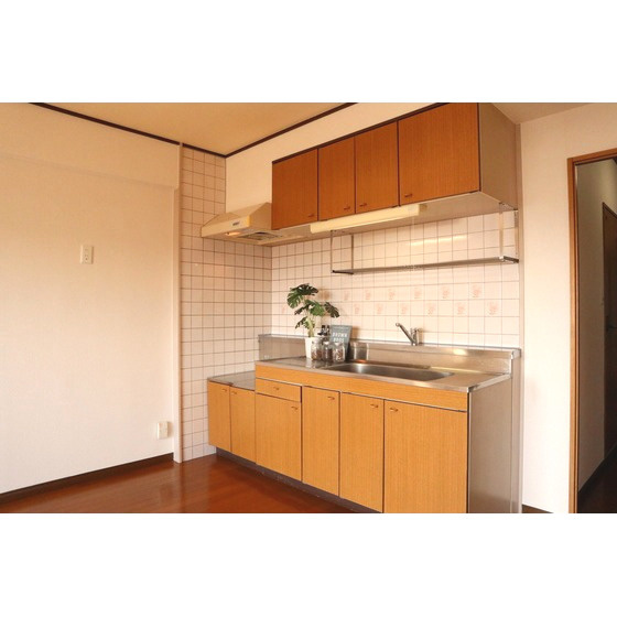 熊本市中央区国府本町の賃貸マンションのキッチン