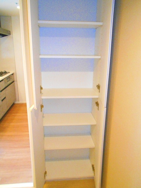 エスタート入谷Ⅱの設備|洗面室の収納です