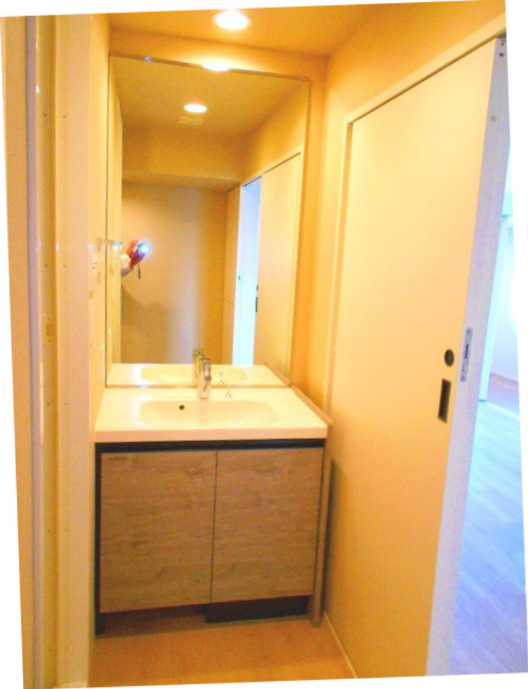 エスタート入谷Ⅱの洗面所