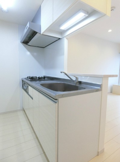 リブリ・プレジール千川のキッチン