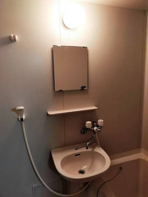 フラワーハイツの洗面所