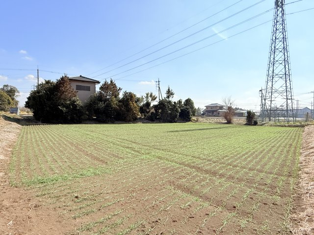 【畑付き】結城市大字結城中古住宅の庭