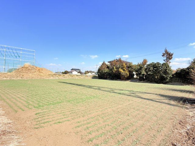 【畑付き】結城市大字結城中古住宅の庭