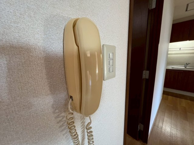 レナ水尾のセキュリティ