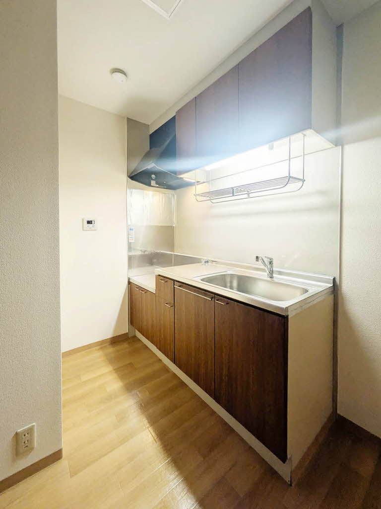 レナ水尾のキッチン