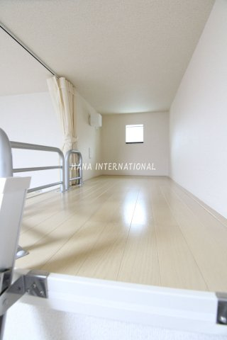 レオネクストアルカディアのその他