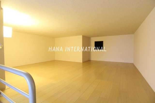 レオネクストアルカディアのその他