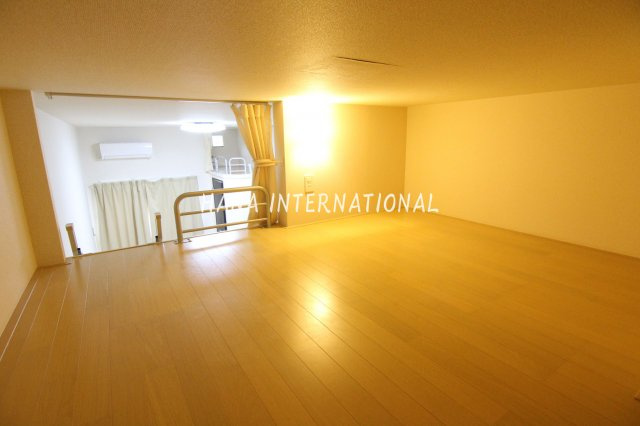 レオネクストアルカディアのその他