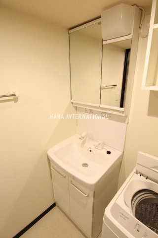 レオネクストアルカディアの洗面所