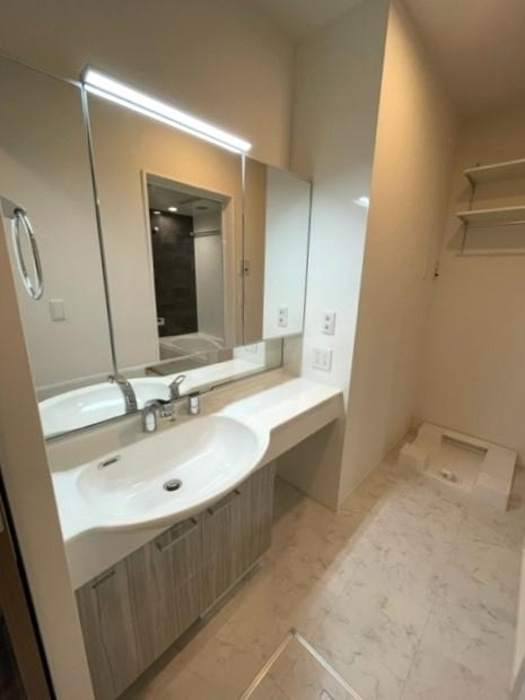 ルミナス庚午の洗面所