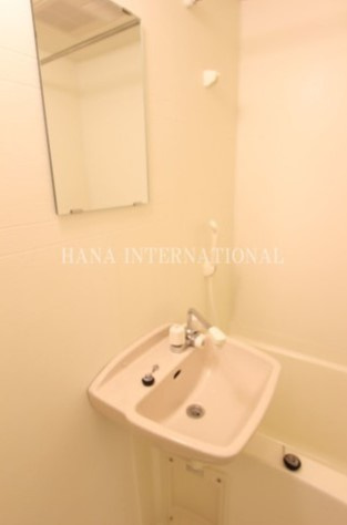 フォレットの洗面所