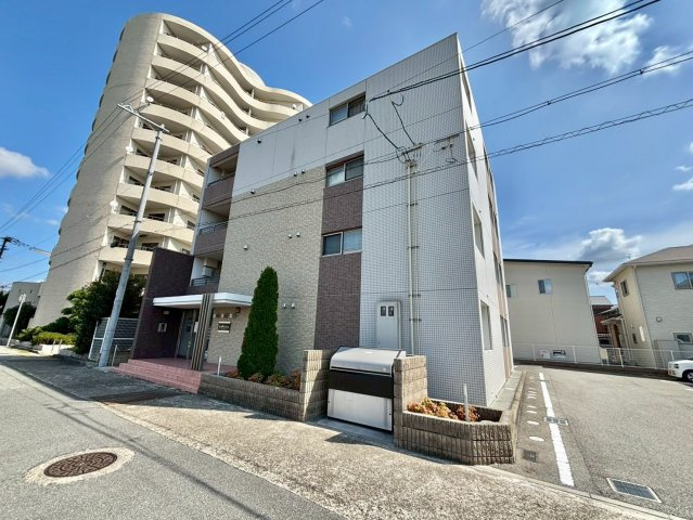 コオリナの外観