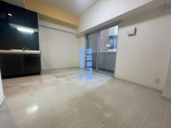 エグゼ難波南Ⅱの居間・リビング|ゆったりとしたリビングです