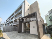 グーフォクォーレの画像