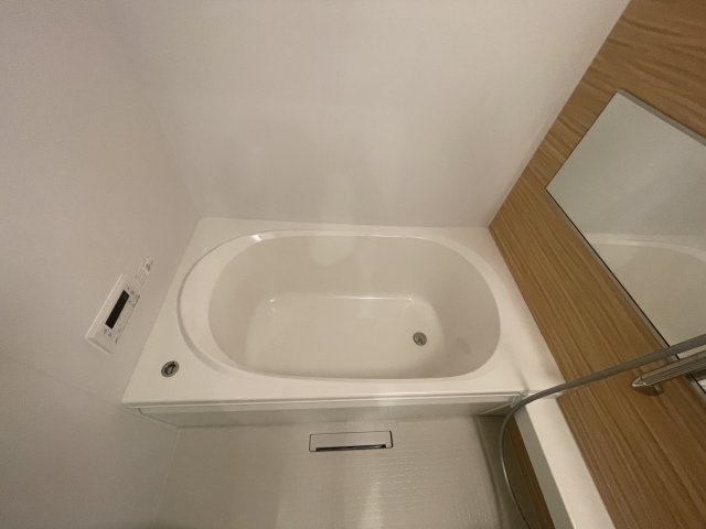 シャーメゾンさくら大久保駅前の浴室