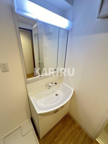 V-GRACE　AKAGAWA の洗面所