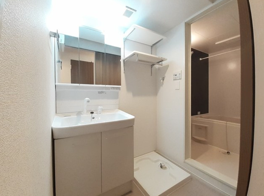 ドルチェ細江の洗面所