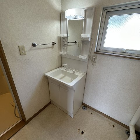 メゾンシエナⅡの洗面所