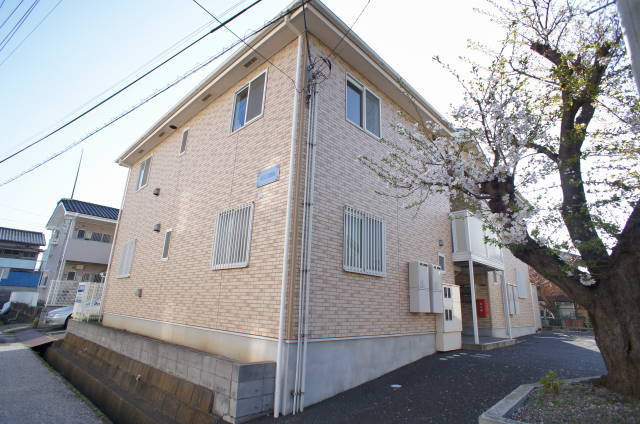 文京壱番館のエントランス|敷地内に桜があり春はきれいですよ♪