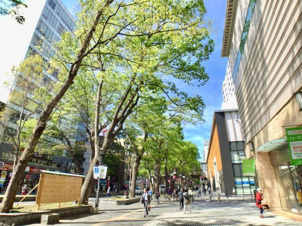 府中市府中町１丁目の賃貸マンションの周辺