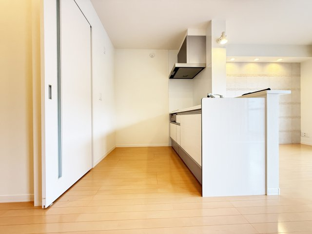 シャーメゾン中久万の洗面所